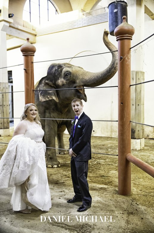 Cincinnati Zoo Wedding Photo