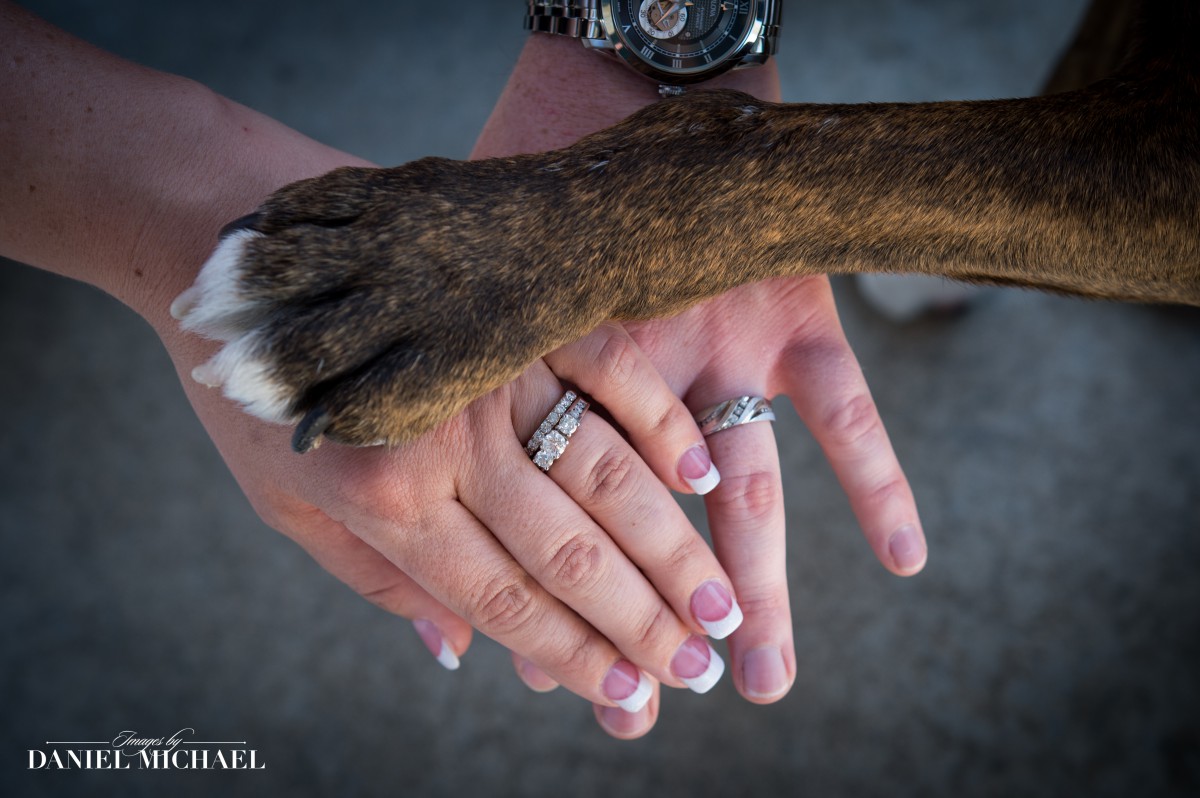 Wedding Photo of Dog Paw and Hands