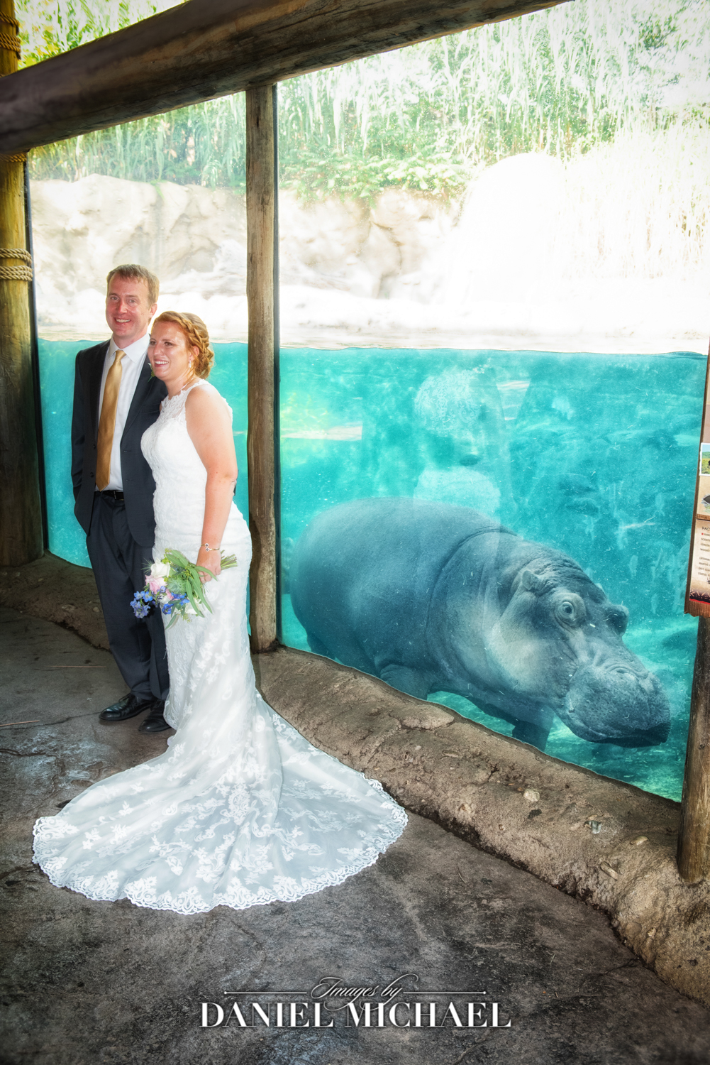 Fiona Cincinnati Zoo Wedding