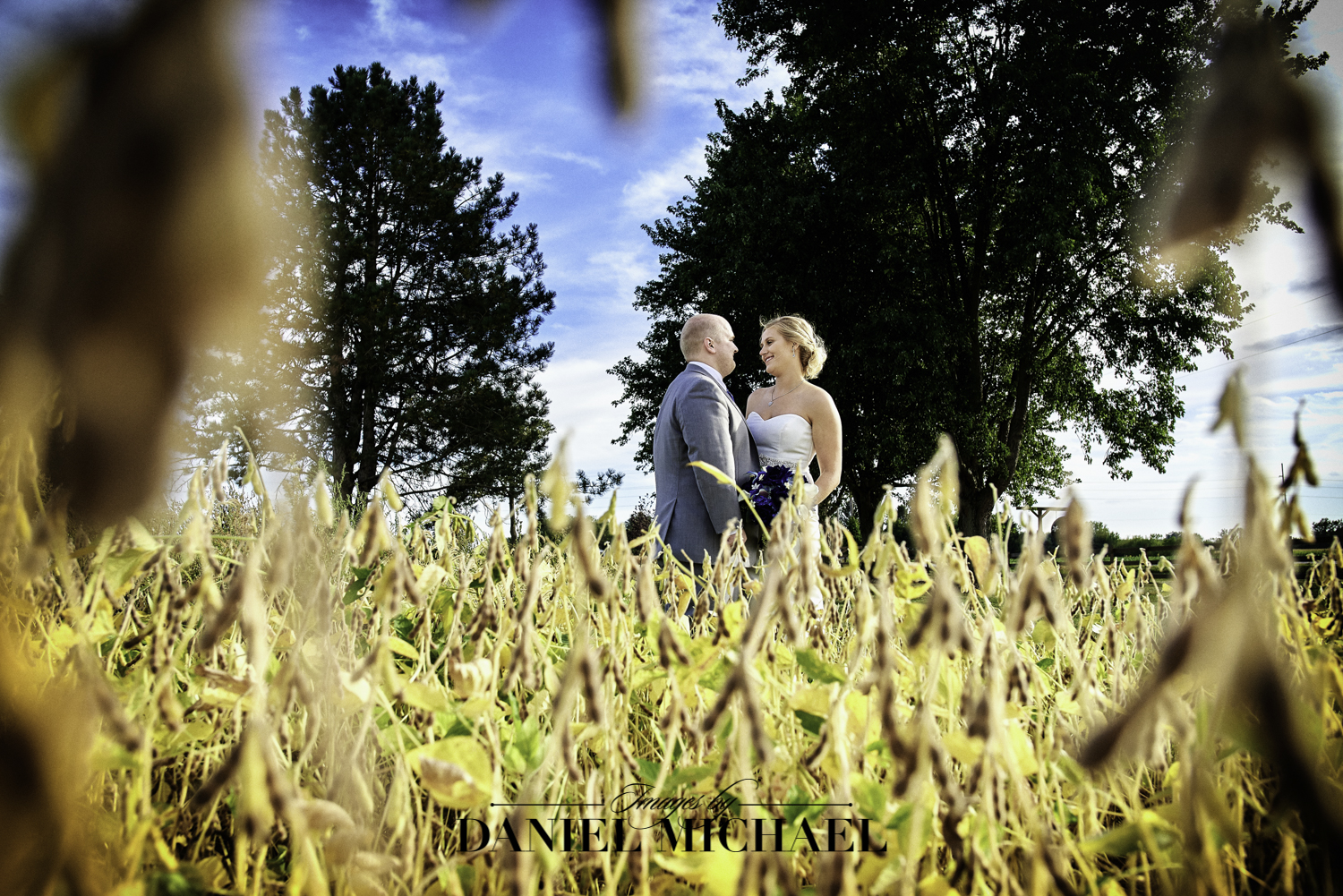 Wedding Photography in Field