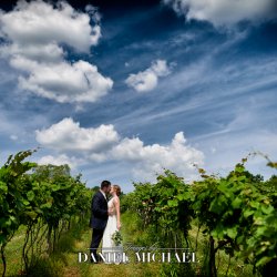 Vineyard Wedding Photo