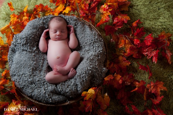 Newborn Portrait Photography, Fall Photos, Portrait Photographers