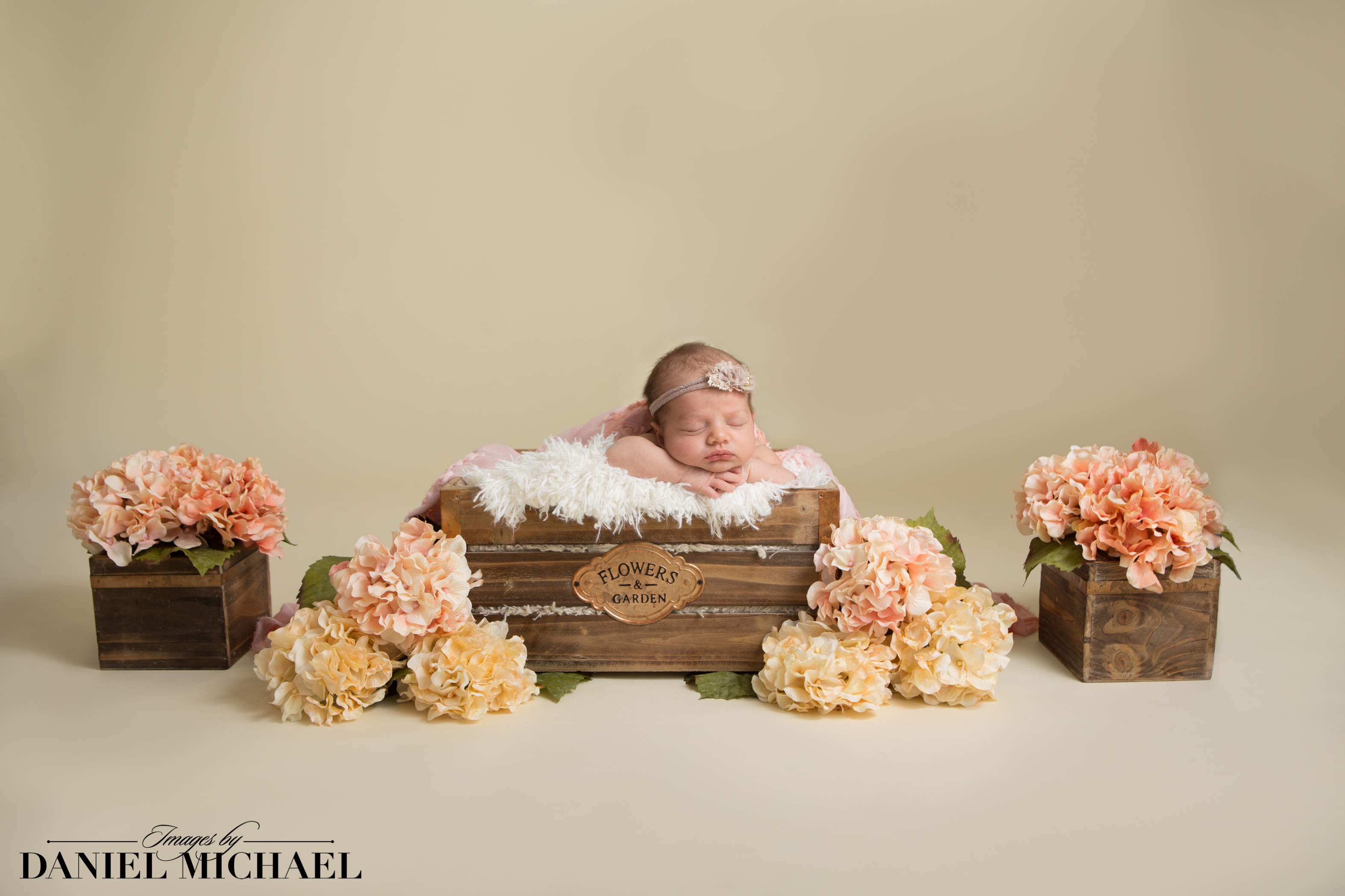 Newborn Photography Cincinnati