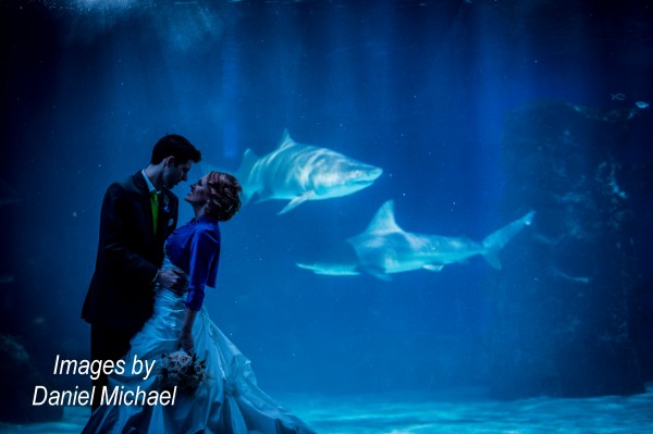 Newport Aquarium Wedding Reception