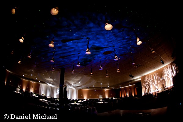 Wedding Photography Cincinnati OH