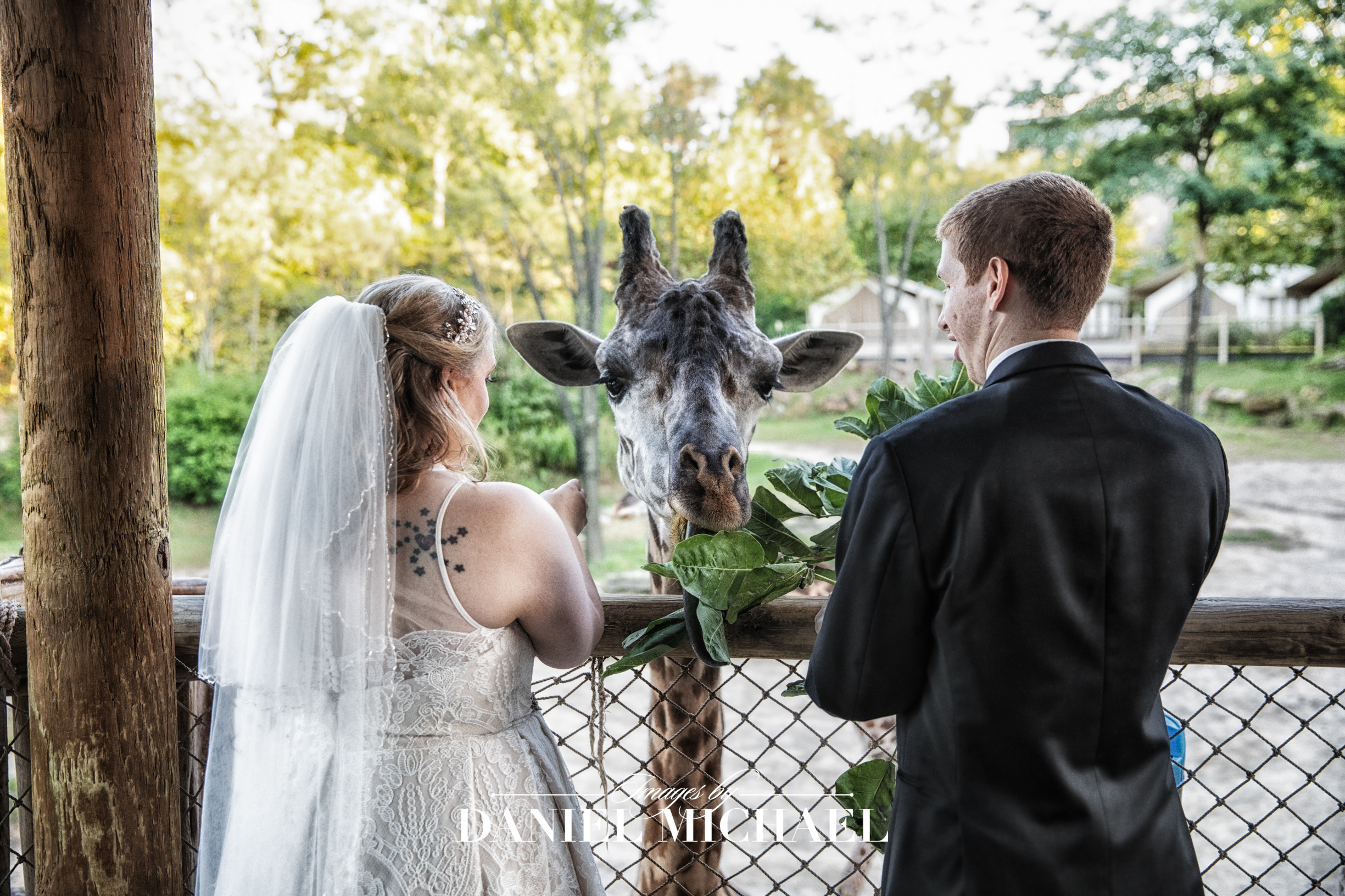 Cincinnati Zoo Weddings