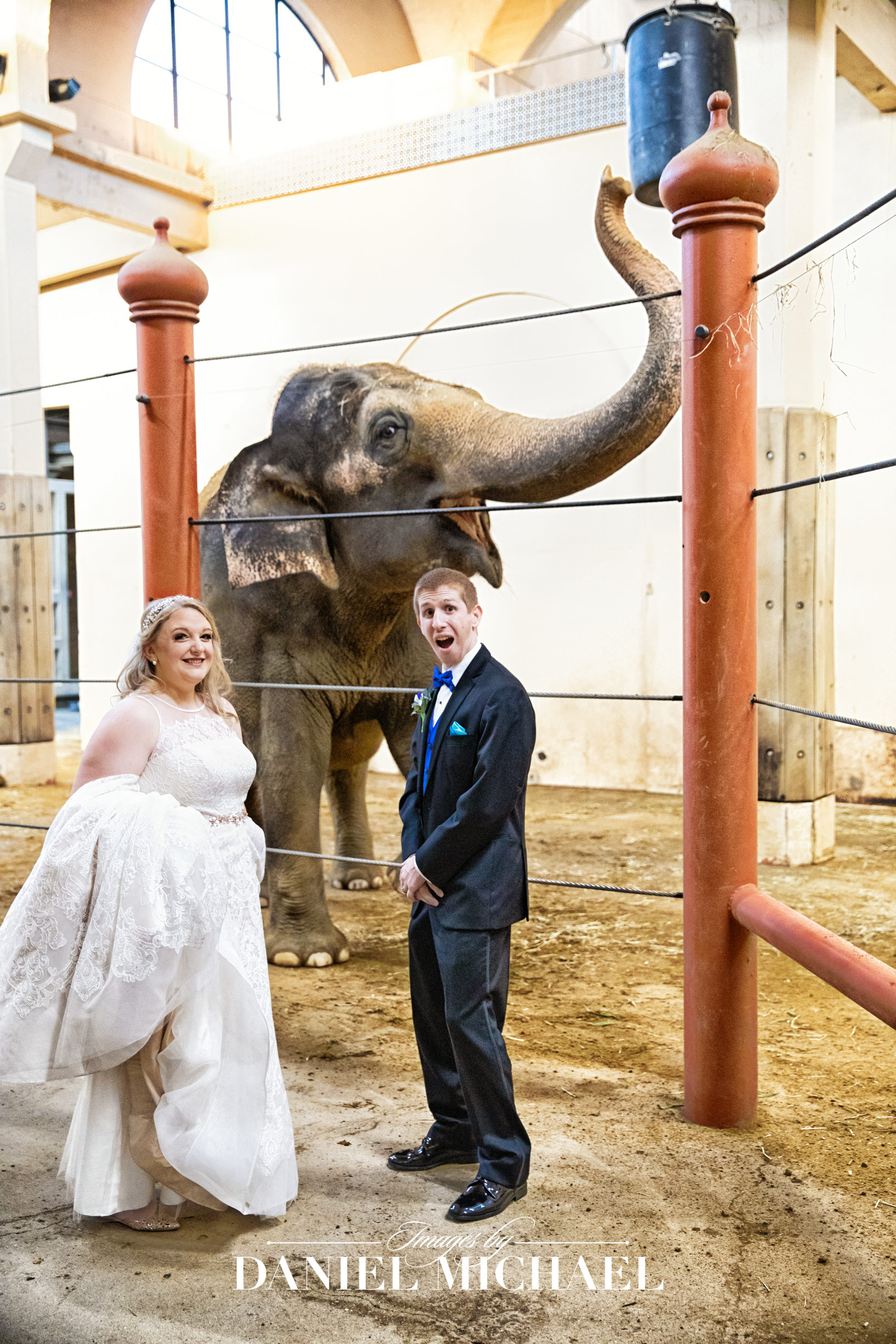 Cincinnati Zoo Wedding Photographer Venue