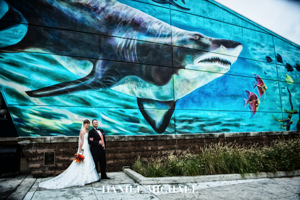 newport aquarium, wedding reception ceremony venue