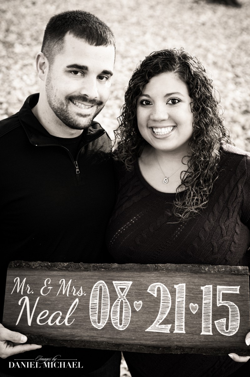 Save the Date Engagement Sign
