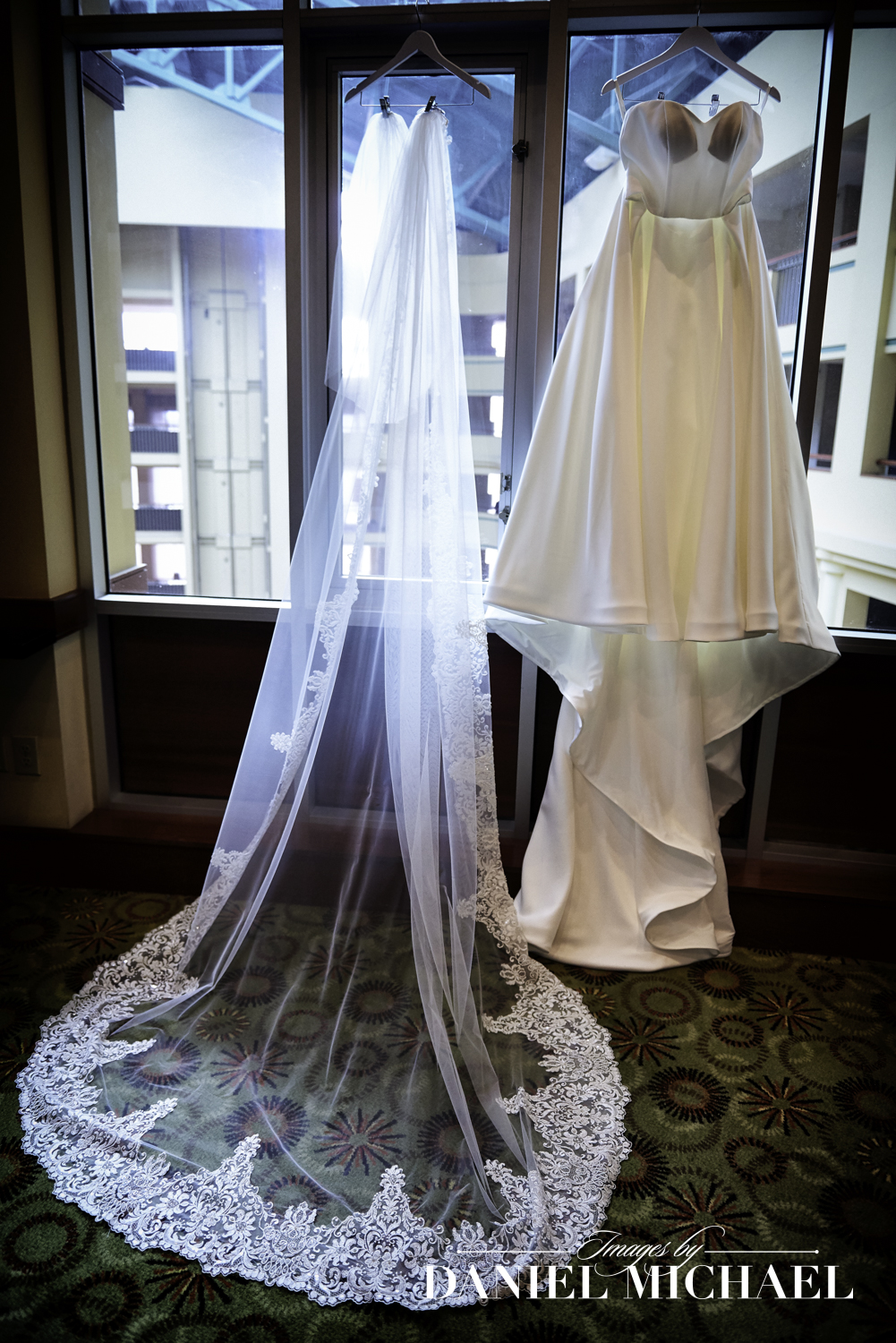 Wedding Dress and Cathedral Veil