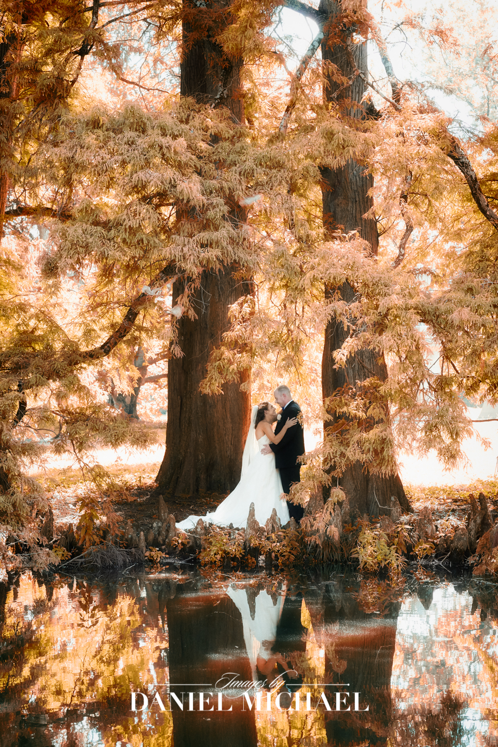 Spring Grove Wedding Photographer
