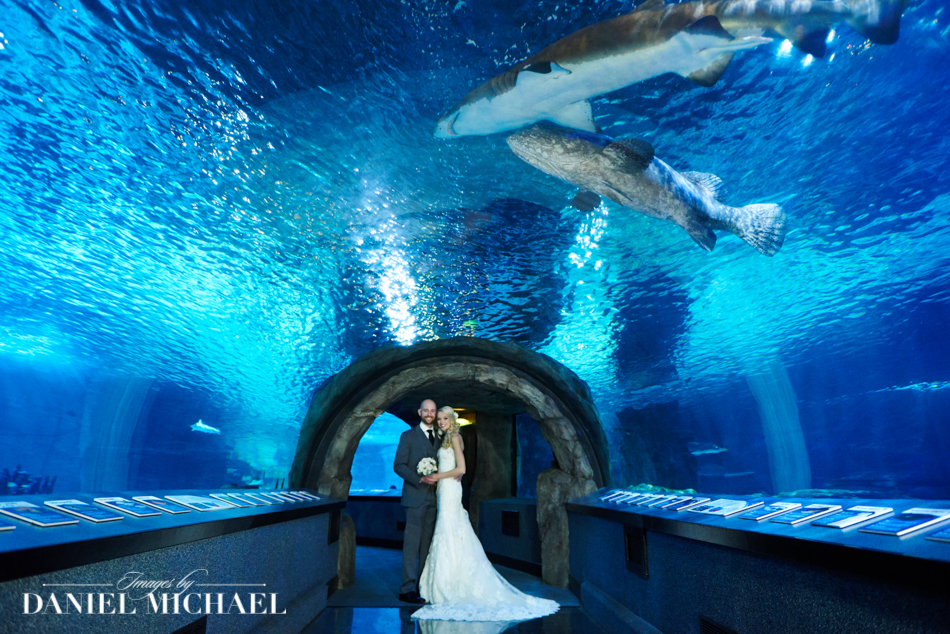Newport Aquarium Wedding Photography