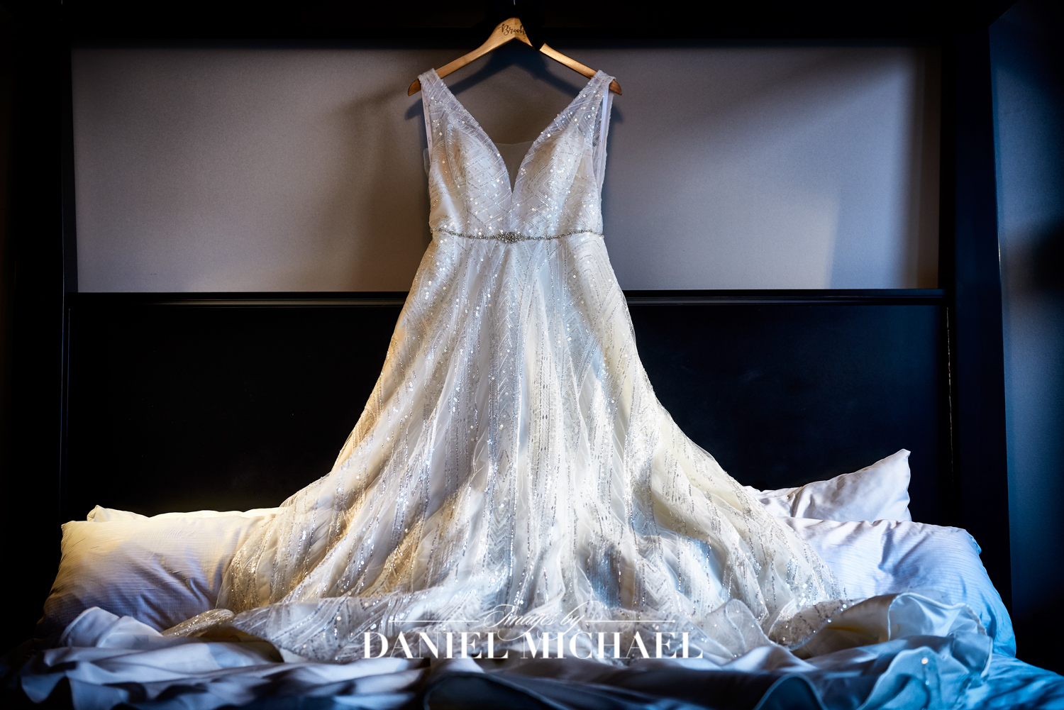 Blush Bridal Wedding Dress Photography