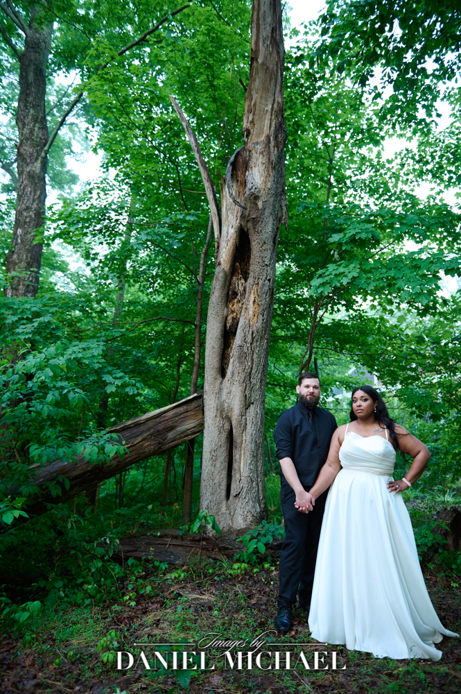 Dramatic Cincinnati Nature Center Wedding Photo